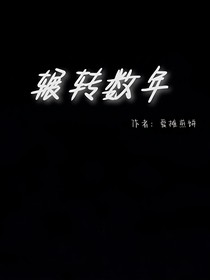 辗转数年