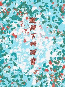 微阳下的西窗