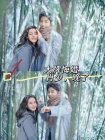 大牌悔婚：肖少，晚了