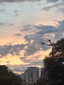 我的竹馬回憶錄