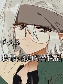 我最完美的替代品