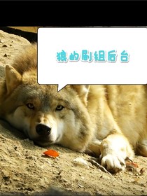 狼的剧组后台