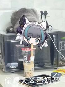 平淡的生活与奇妙的偶遇