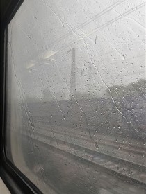 小z辛苦了