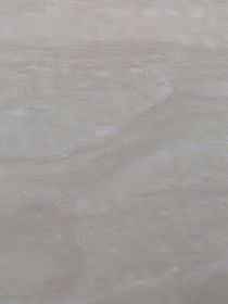 叶与池