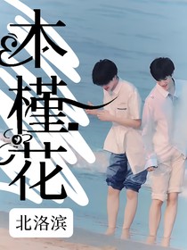 文严文：木槿花