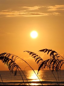 一年的光陰