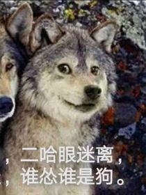 離奇的夢(mèng)？應(yīng)該是，記錄一下