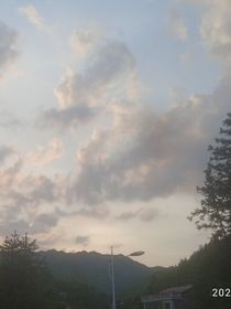 晚夜清风