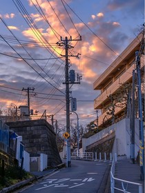 屯桉情