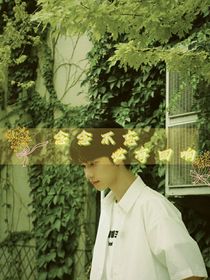 丁程鑫：念念不忘……