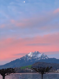 书名正在修改1688542635239521507