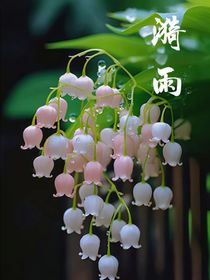 漪雨