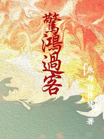 惊鸿过客……