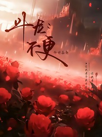 斗龙：不更
