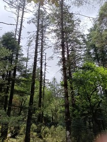 年岁返