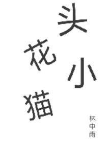 头花小猫