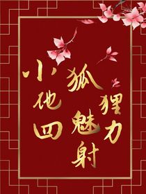 小狐狸他魅力四射