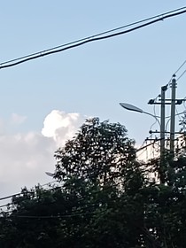 前任舔狗式追我