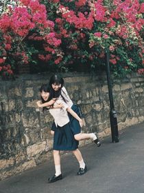 繁花灿烂