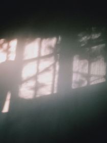 半夜三更不知梦成真不
