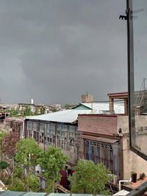 基因決定我愛(ài)你