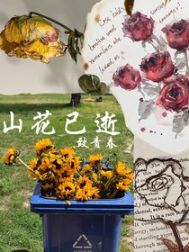 山花已逝