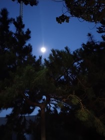 狂飆：與李隊(duì)長的戀愛日常