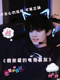 我亲爱的电竞男友