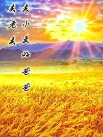 麥小麥的爸爸麥老麥