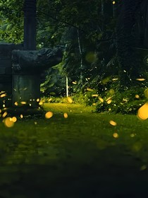 乖，有病就吃药