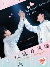 玫瑰与风邂逅