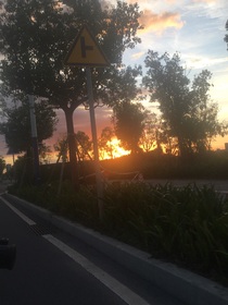 阴暗的童年