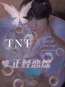 TNT：正经恋综
