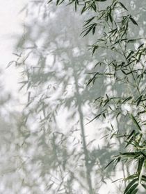 小朋友久一点