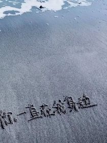 作者恋爱记