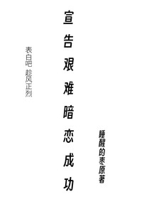 宣告艱難暗戀成功