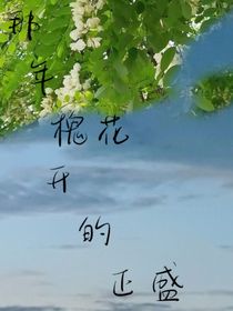 那年槐花开的正盛