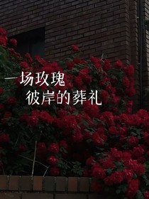 一场白玫瑰的葬礼