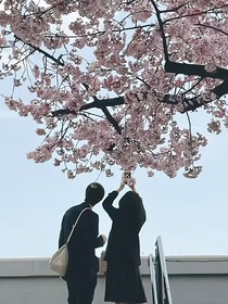 唯你而戀