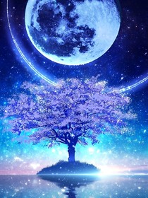 點(diǎn)點(diǎn)星光卿卿盛開(kāi)