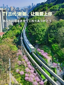 TF三代：謝謝，讓我愛上你