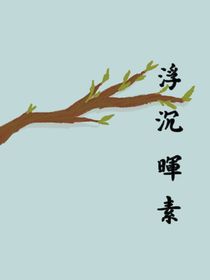 浮沉晖素