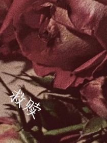 修竹凝妆