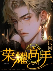 荣耀高手在民间