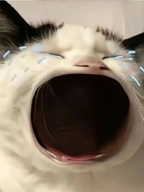 總裁爹地好兇啊