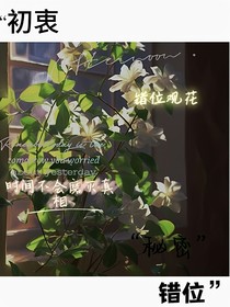 错位观花