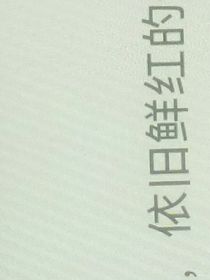 快穿之攻略者是我