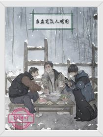 當盜筆眾人觀圖