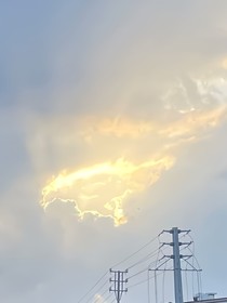 修修鸟鸣